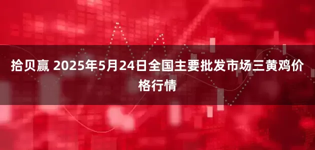 拾贝赢 2025年5月24日全国主要批发市场三黄鸡价格行情