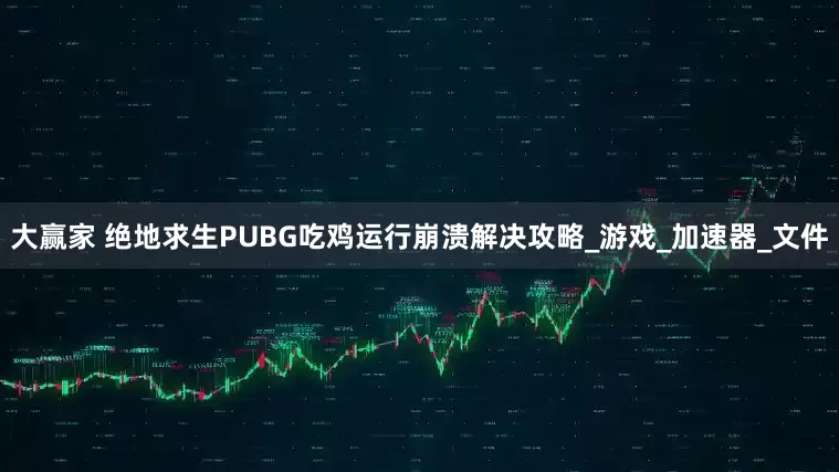 大赢家 绝地求生PUBG吃鸡运行崩溃解决攻略_游戏_加速器_文件