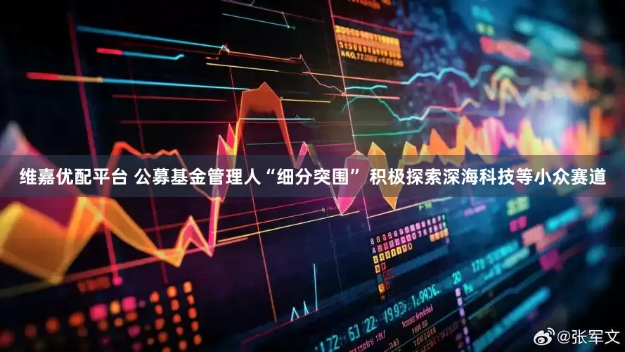 维嘉优配平台 公募基金管理人“细分突围” 积极探索深海科技等小众赛道