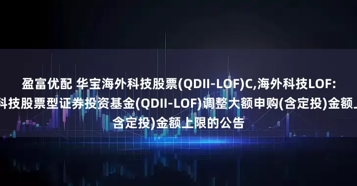 盈富优配 华宝海外科技股票(QDII-LOF)C,海外科技LOF: 华宝海外科技股票型证券投资基金(QDII-LOF)调整大额申购(含定投)金额上限的公告