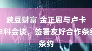 豌豆财富 金正恩与卢卡申科会谈，签署友好合作条约